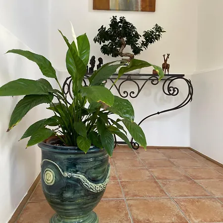 La Serre Des Mourgues Bed & Breakfast Mejannes-les-Ales